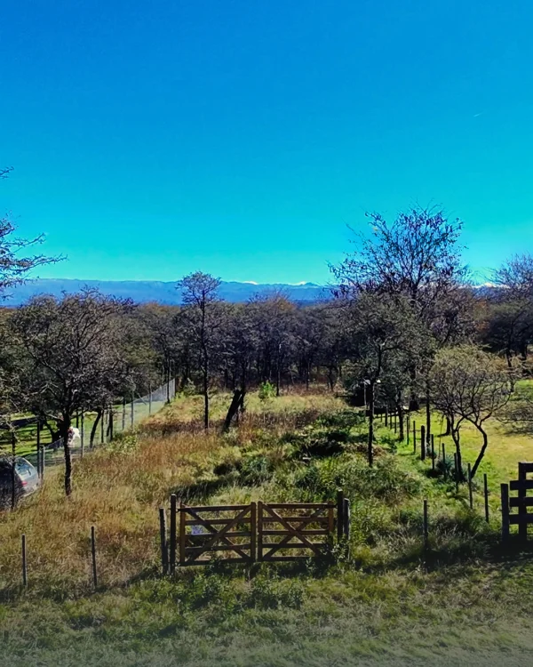 Lote de 462 m² en Santa Rosa - Foto 1